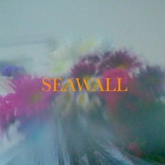 Neev - Seawall (Hedd Lone Remix)