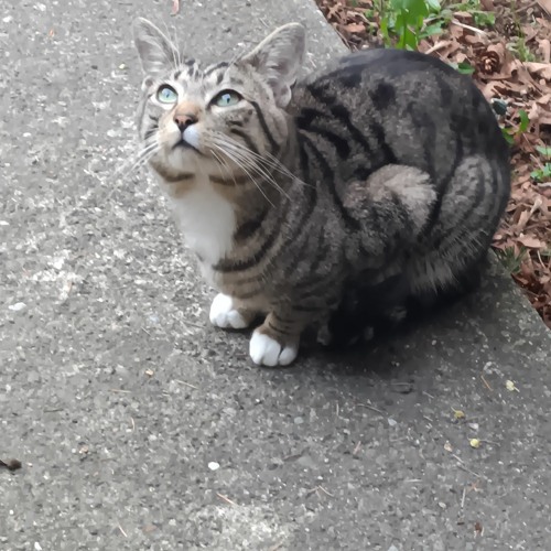 Stream Ryteon By Karoshi Six Listen Online For Free On Soundcloud