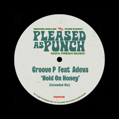 HOLD ON HONEY (GROOVY HOUSE) - Lewys Jones Edit - FREE DL / FREE DOWNLOAD
