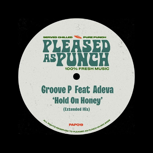 HOLD ON HONEY (GROOVY HOUSE) - Lewys Jones Edit - FREE DL / FREE DOWNLOAD