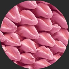 Lars Huismann - Centrifuge [FK001] | Expansions VA