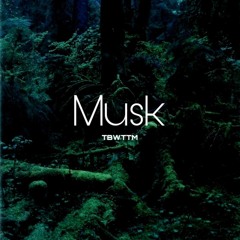 Musk | Central Cee x Pop Smoke / Drill type beat