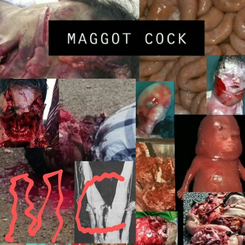 Maggots In Cock