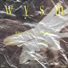 W Y S M ( Why you so mean? ) - WAVEV ...