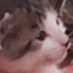 I just threw out the Love Of My Dreams (pixel+ kinda slowed?)