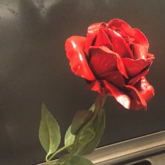 Please babe, go for it