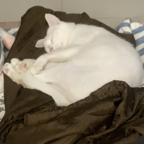 sao soi đường đêm - cipi ft trung trần