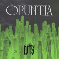WeTheSound - Opuntia