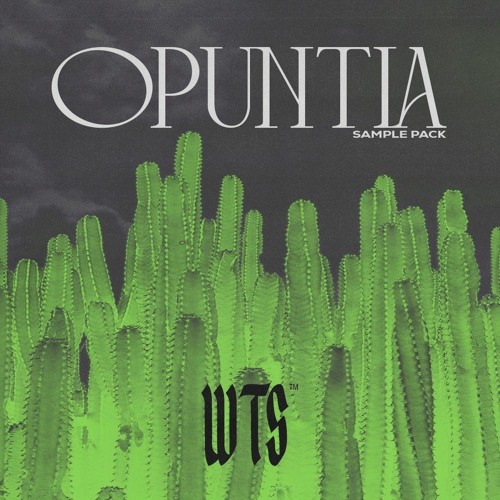 WeTheSound - Opuntia