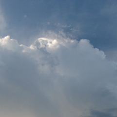 software interactions