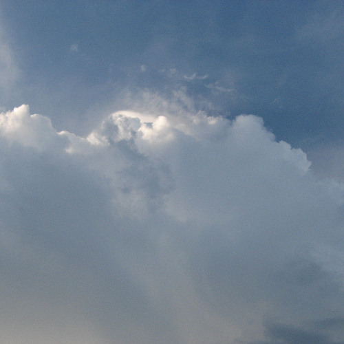 software interactions