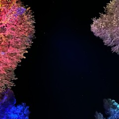 MIX 34 - Live from Caldera: Mammoth Lakes, CA [July 2024]