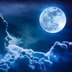 Full Moon Night