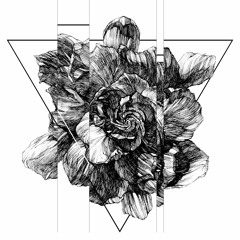 MINJA - Moscow Electronic Association Podcast 020