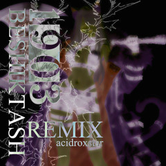 BESHIKTASH (Acidrox$tar Remix)