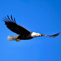 Soar for Trumpet and Piano