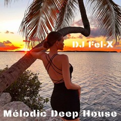 Mélodic Deep House Mix DJ Fel-X