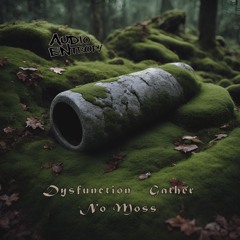 AEN045: Dysfunction - Gather No Moss