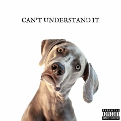 Can't Understand It (ft. 2000 Kid)