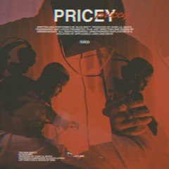 Pricey (feat. Cheddiss T)[Prod. by DudeLiLBeats]
