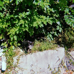 Luckypink4ever - LONELY..