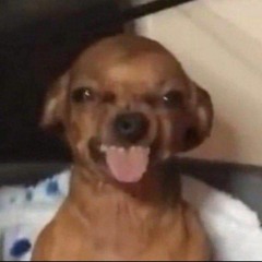 Untitled Playlist