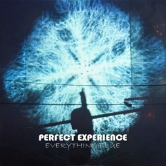 Perfect Experience - Everything Blue