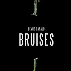 Bruises cover " Ben Asva"