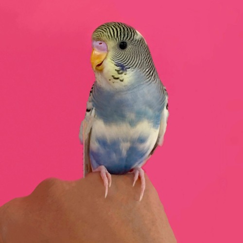 Stream Jen Delos Reyes Fireside Chat By Artists In Presidents Listen Online For Free On Soundcloud