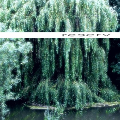 Under the Willow