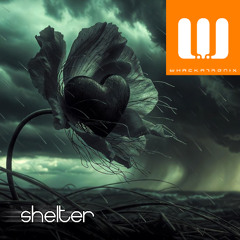 Shelter (Original Mix)