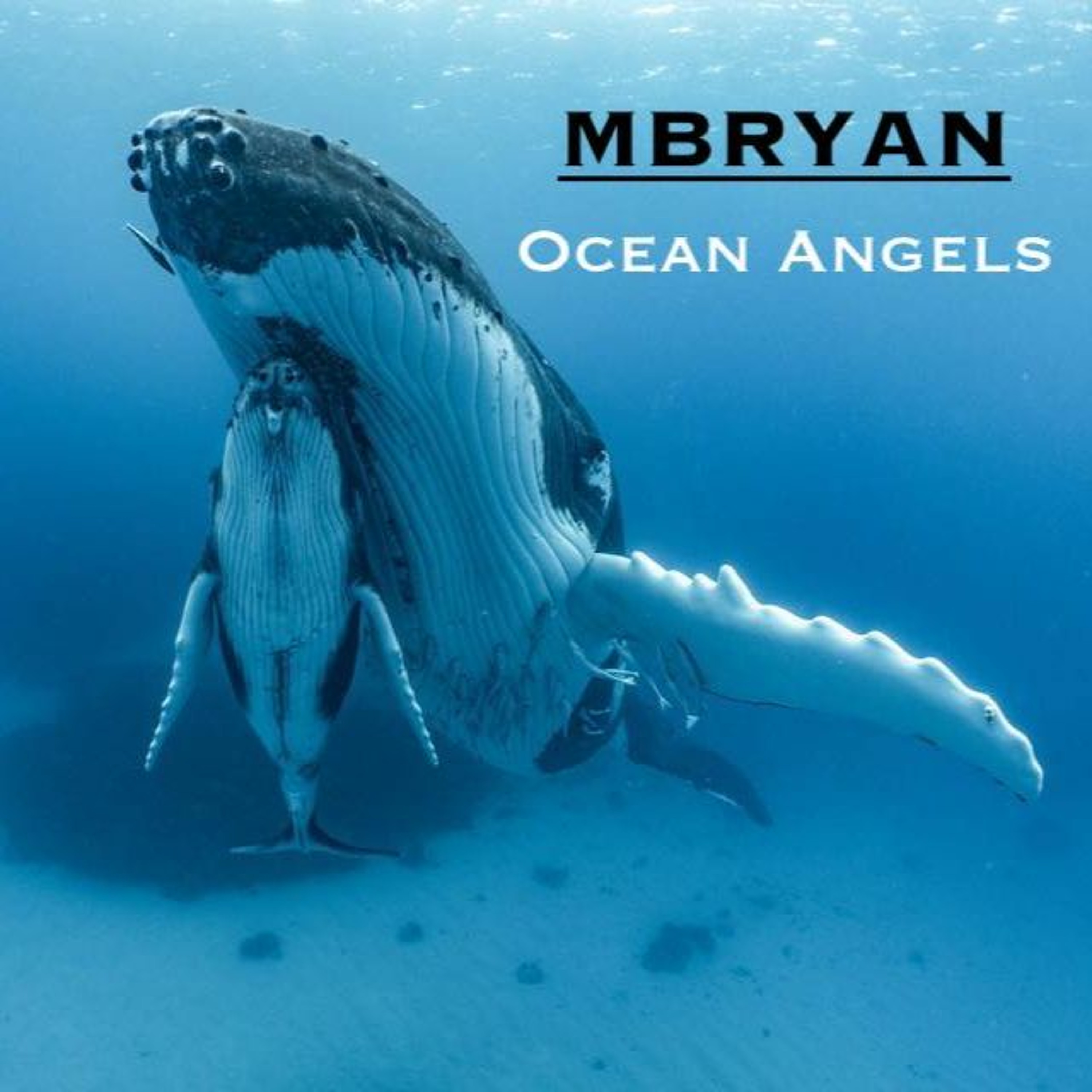 Ocean Angels episode artwork