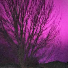 purple sky