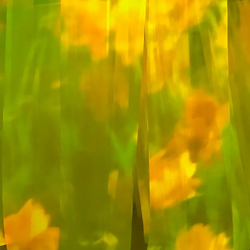 봄의정원으로오라(demo)