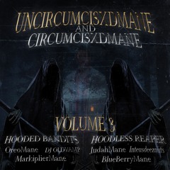 HOODED AFFAIRS - PEE HONK VOLUME 3 (feat. CIRCUMCISXDMANE)