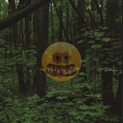 ЛЕСНАЯ ИСТОРИЯ (prod.kuromee)