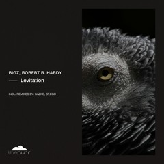 BiGz, Robert R. Hardy - Levitation (KAZKO Remix)