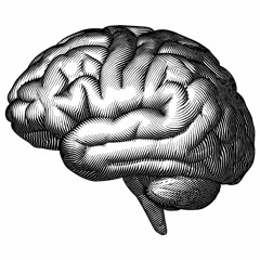 Psychology (sample Challenge #192)