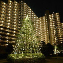 Last Christmas 《𝟸𝟶𝟹》 #jc