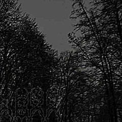 nights