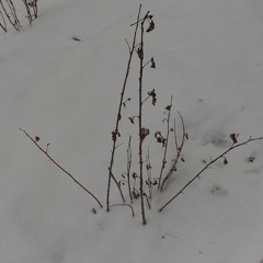 i guess you're better off with someone else