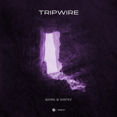 Tripwire