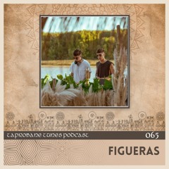 FIGUERAS | TAPROBANE TUNES 065