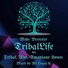 MSPE Presents TribalLife 004 - Tribal House - Amapiano - Funky Bass