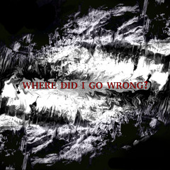 where did i go wrong? - demo