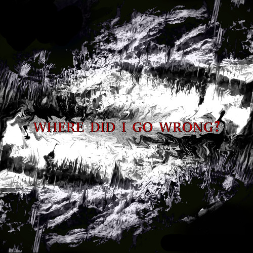 where did i go wrong? - demo