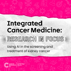 Using AI in the screening and treatment of kidney cancer
