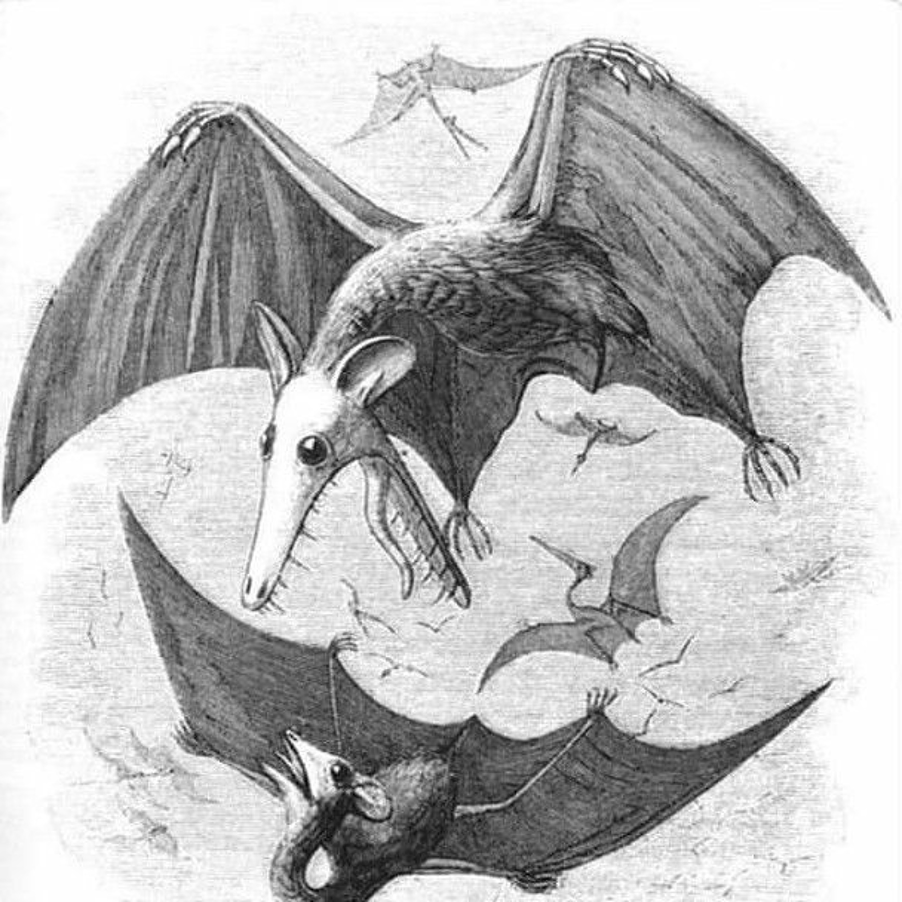 Aeronautics. episode artwork