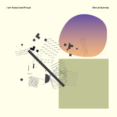 I Am Robot And Proud / Texture Memory