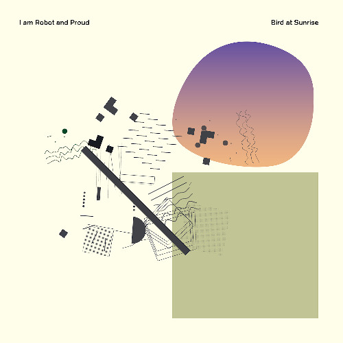 I Am Robot And Proud / Texture Memory